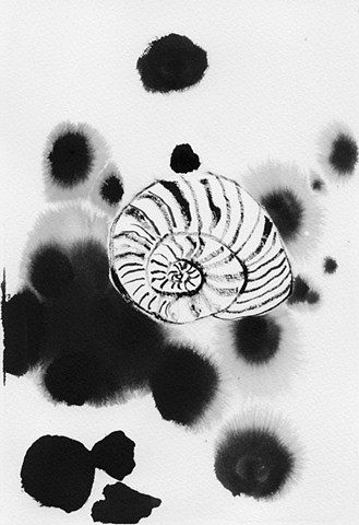 snail art, snail shell