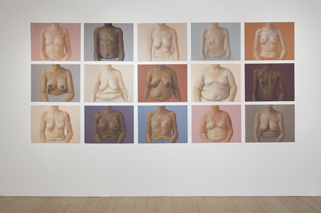 Pictured: fifteen pastel drawings, 19" x 25" each, installed in a grid.