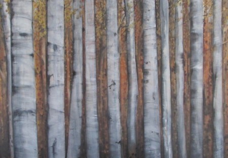 grove,aspen,silver birch,forest painting
