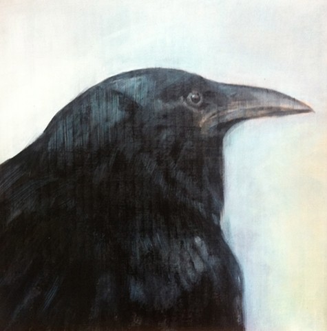 raven, crow, dead bird, dead raven, blind bird, blind raven