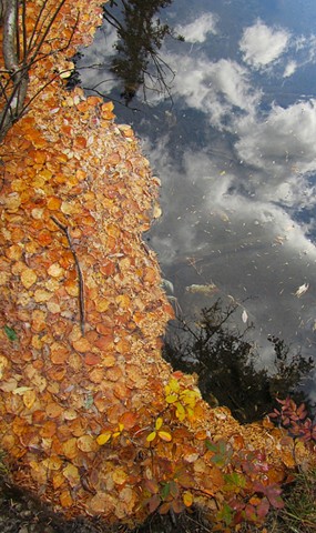 autumn leaves, sky,reflection