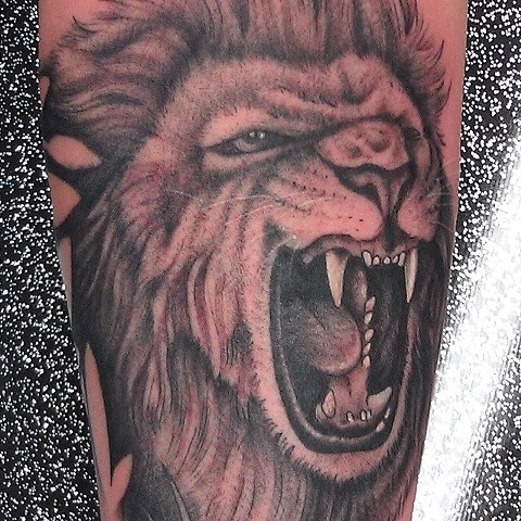 Lion Tattoo by Mike Hutton