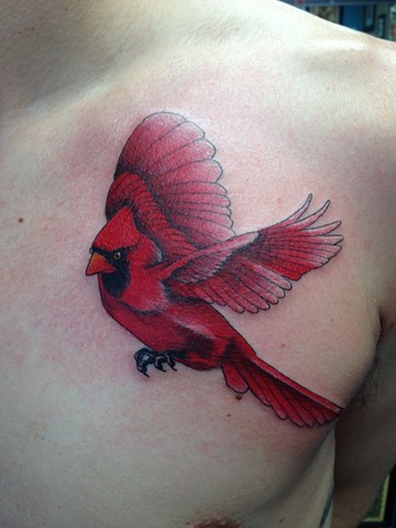 Cardinal Tattoo by Cindy Burmeister