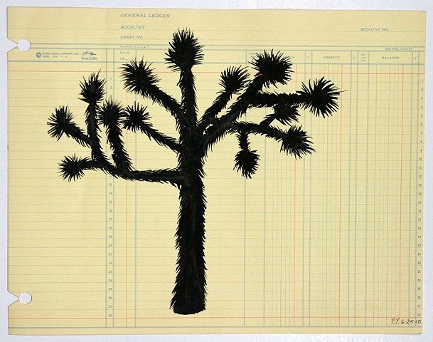 Joshua Tree Ledger Found Paper Ink on Paper Drawing