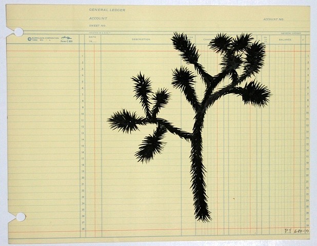 Joshua Tree Ledger Found Paper Ink on Paper Drawing