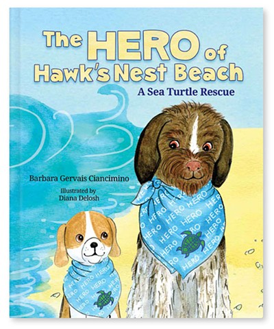 The Hero of Hawk's Nest Beach