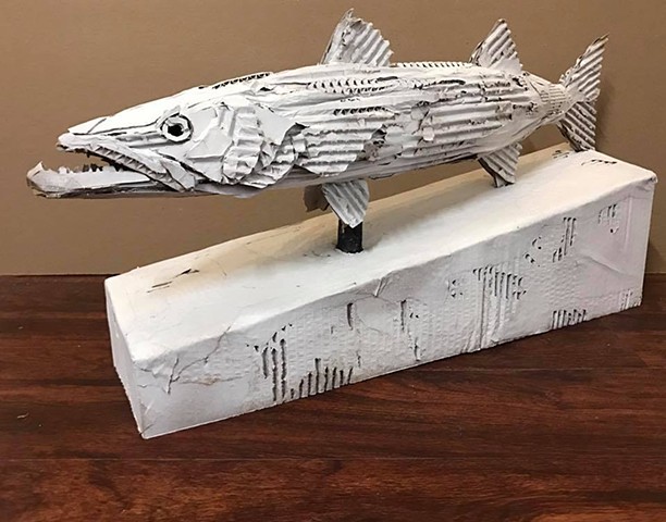 cardboard barracuda