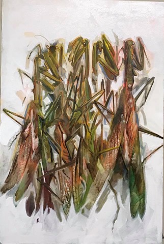 "shuffled mantis" oil on canvas 24"x30"