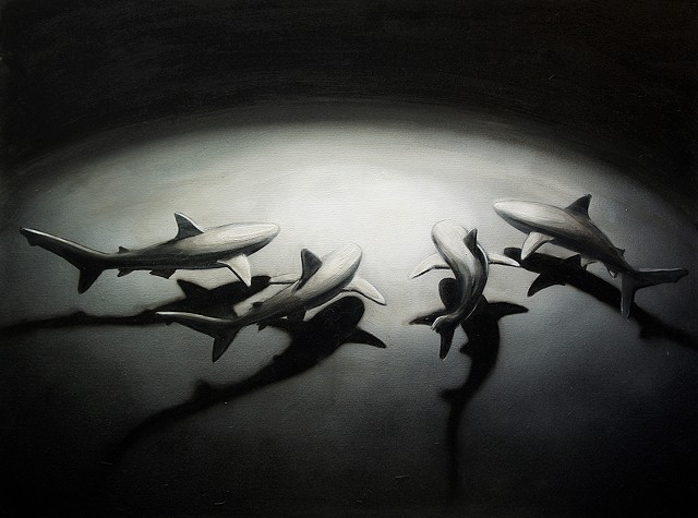 shark circle 4 30"x40" acrylic on canvas