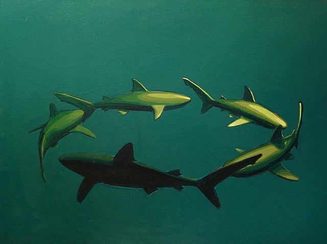 shark circle blue 30"x 40" acrlic on canvas
