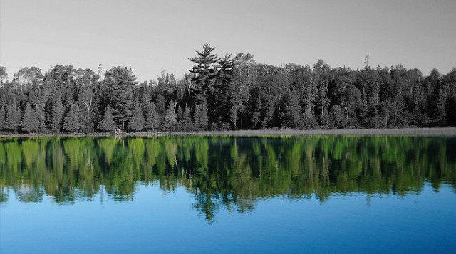 Basswood Lake (in remembrance)