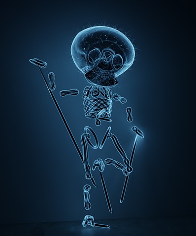 Happy Jack (x-rayed)