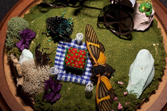 Insect Picnic