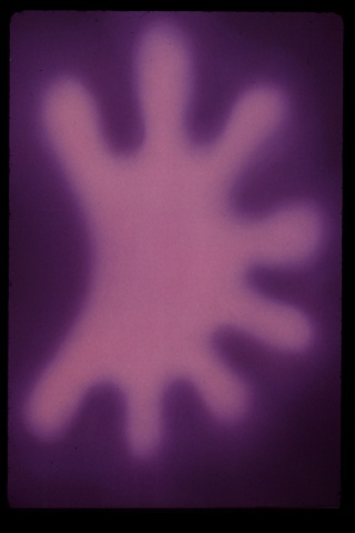 purple Splat