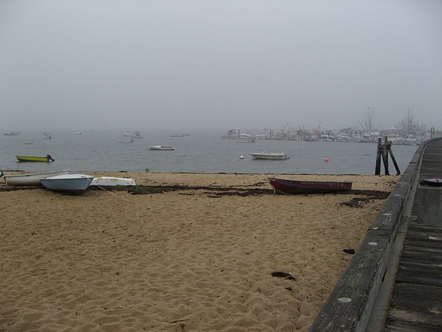 Beach in fog