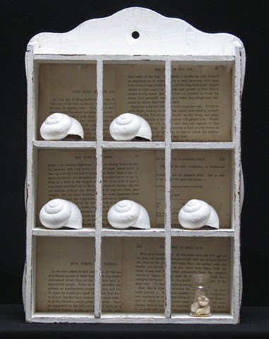found-object sculpture with white snail shells on shelf, with small bottle of teeth, 