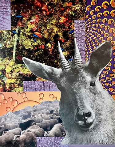 Psychedelic Goats and Other Horned Creatures