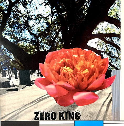 Zero King