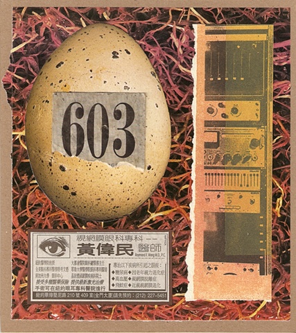 Egg 603