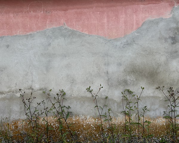 Weeds Against The Wall, Veiros