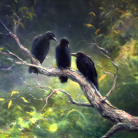 Talking Crows