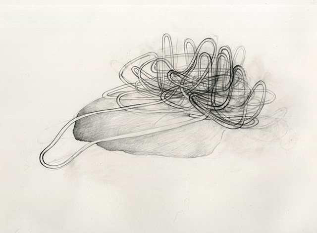 Abstract drawing of organic pipelines, intestines by Kathleen Thum