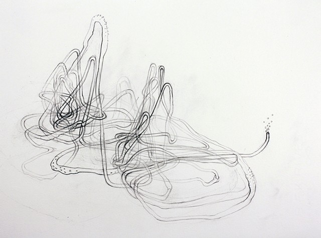 Graphite Drawing of tubes, cables, pipeline and intestines by Kathleen Thum