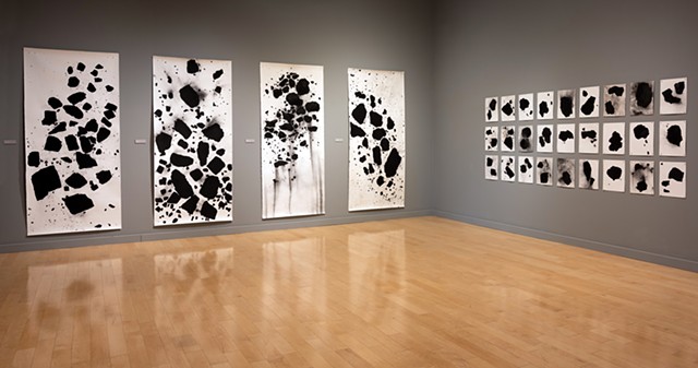 installation view of the Carbon Series, shown at the Turchin Center for Visual Arts, Boone, North Carolina