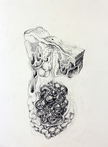 Graphite Drawing of Anatomical Drawing of Pipelines by Kathleen Thum