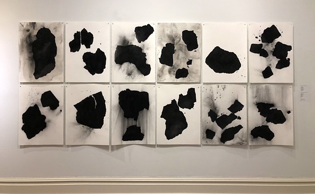 Kathleen Thum, Installation View ofInstallation View of Carbon Series Drawings, shown at the William King Museum of Art, Abingdon, VA, as part of Transforming Politics, Charcoal on Paper, Contemporary Drawing
