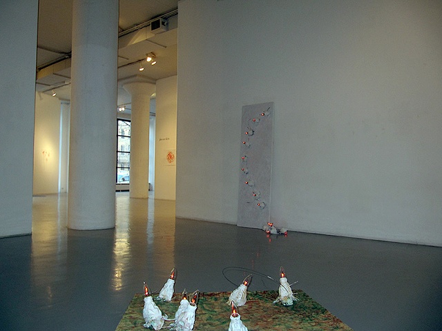 Solo exhibition, Zolla Lieberman Gallery, Chicago