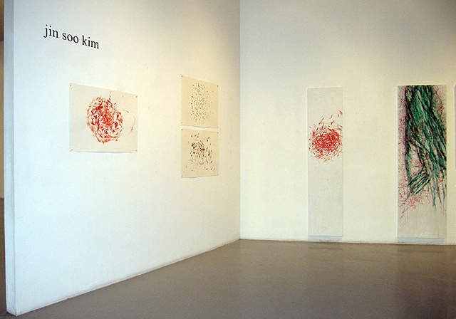 Solo exhibition, Zolla Lieberman Gallery, Chicago