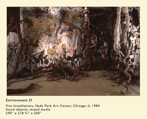 "Environment D," Five Installations, Hyde Park Art Center, Chicago IL 1984