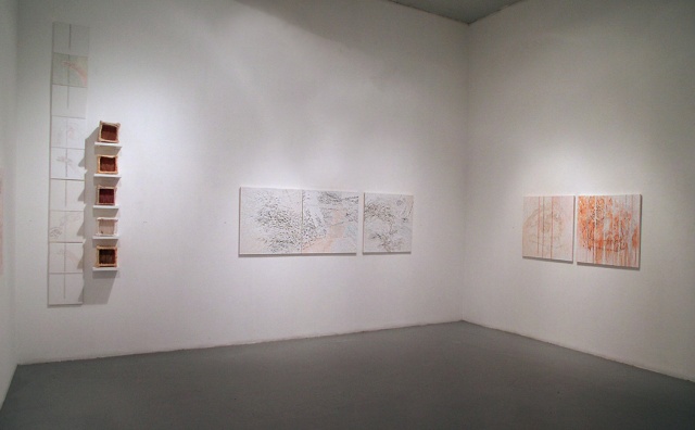 Zolla Lieberman Gallery, Chicago: solo exhibition