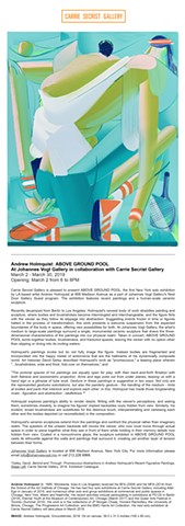 Above Ground Pool at Johannes Vogt Gallery NYC opens March 2nd