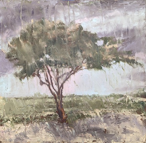 Rain Tree
