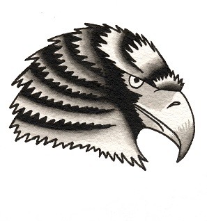 Eagle Black & Gray