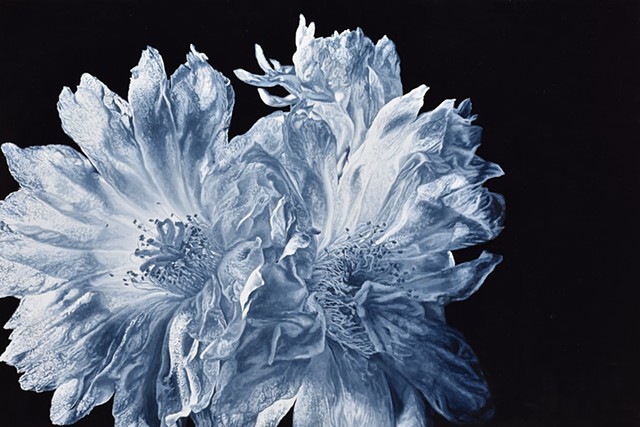blue flower, blue painting, cactus flower, floral painting, romantic painting, statement piece, dreamy scape