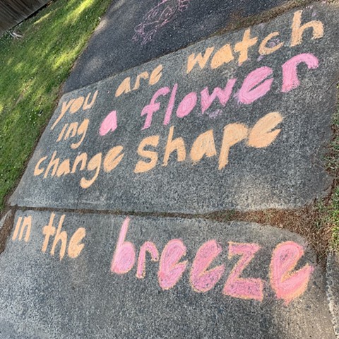 You Are Watching a Flower Change Shape in the Breeze