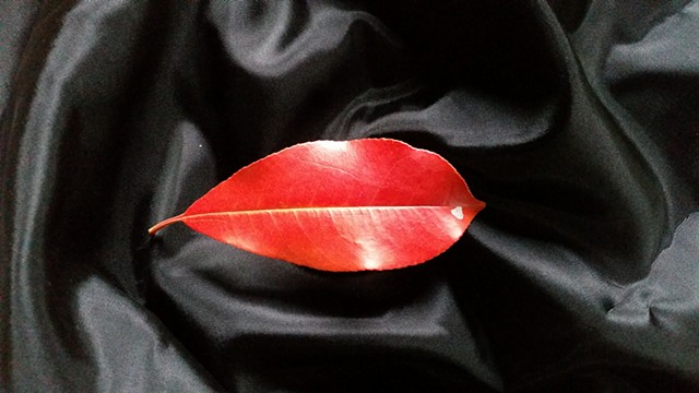 Leaf Lips