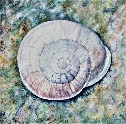 "Snail"White matt with white frame.
