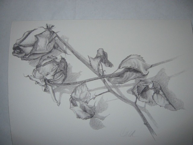 Roses # 067