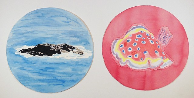 Untitled (island & nudibranch)