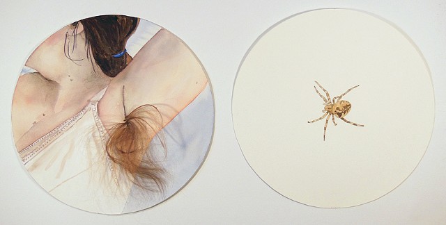 untitled (hair & spider)