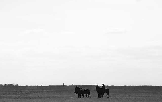 Plains Cowboys, Hungary