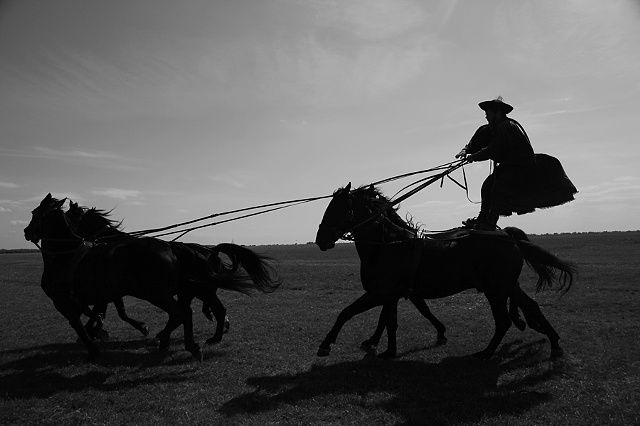 Plains Cowboys, Hungary