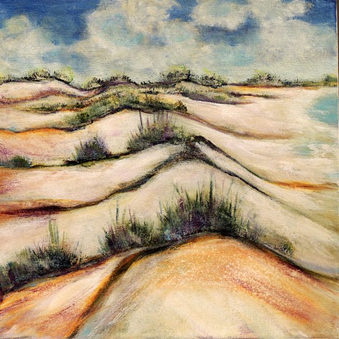 North Florida sand dunes