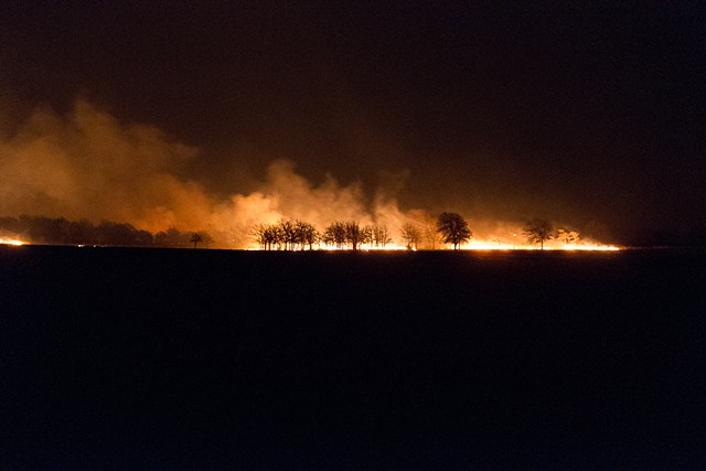 night photography, prairie fire, osage, blackjack oak