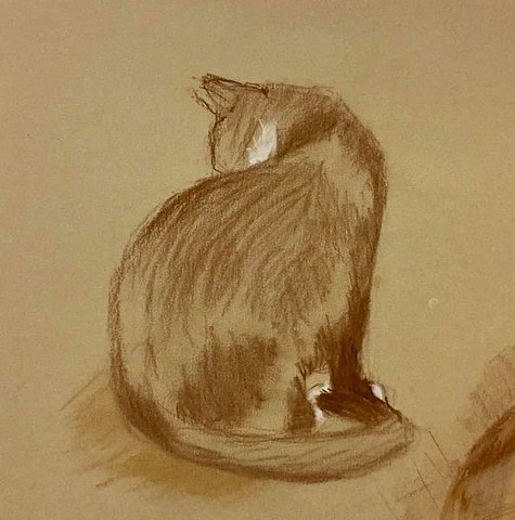 kitten sketch