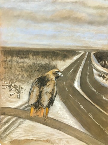 Hawk drawing pastel